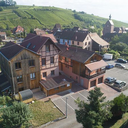 Pinot Gris - Charmant Studio Au Coeur Du Vignoble - Parking Gratuit Riquewihr Luaran gambar