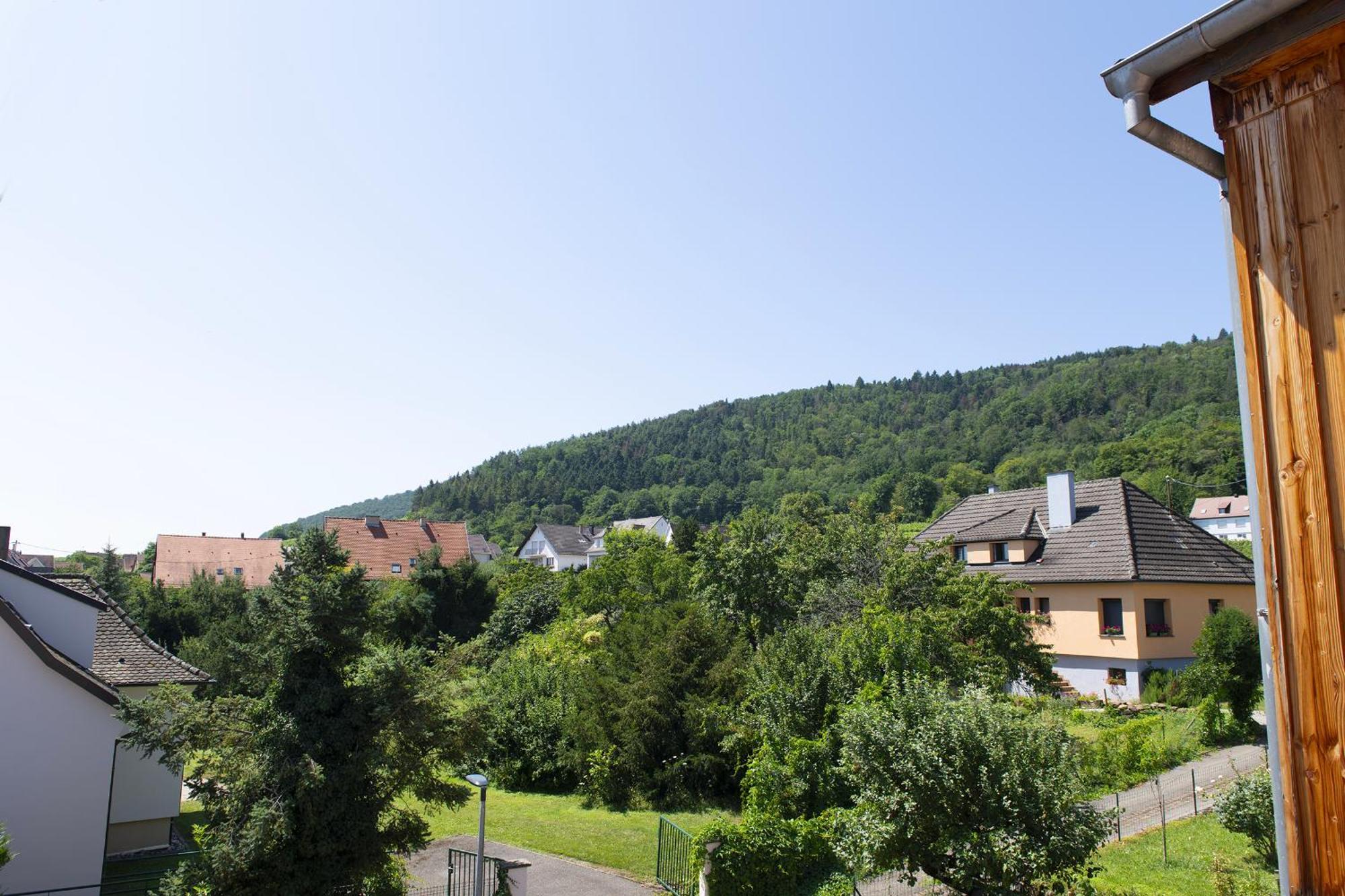 Pinot Gris - Charmant Studio Au Coeur Du Vignoble - Parking Gratuit Riquewihr Luaran gambar